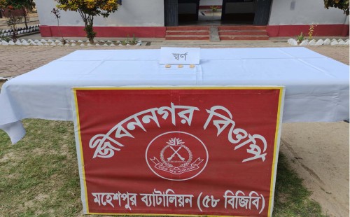 জীবননগরে ৪৮ লাখ টাকার স্বর্ণসহ আটক ১