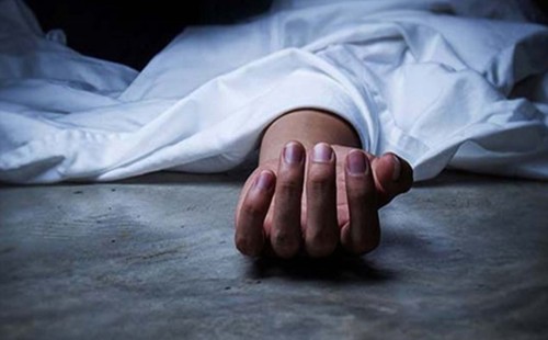আলমডাঙ্গার ডাউকিতে ধান বাঁধার সময় কৃষকের মৃত্যু