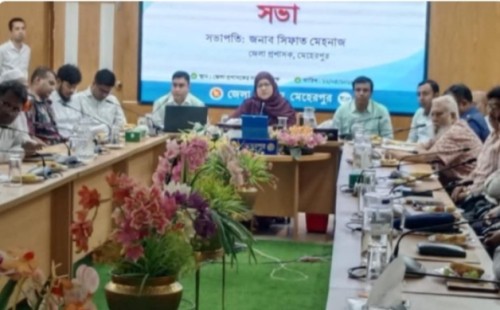মেহেরপুরে মানব পাচার প্রতিরোধ কমিটির সভা