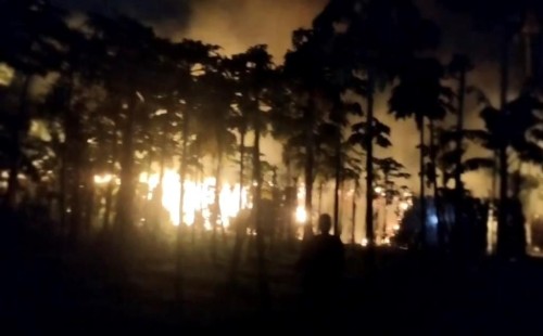 কালীগঞ্জে তিন কৃষকের পানের বরজে ভয়াবহ অগ্নিকাণ্ড