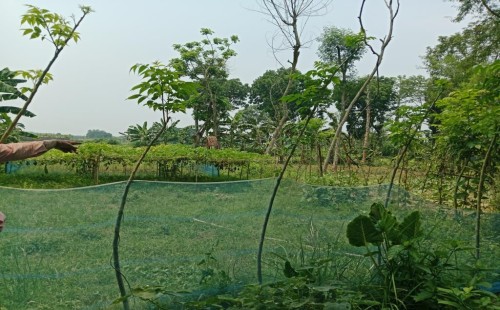 ইজারাকৃত জলাশয় থেকে জোরপূর্বক মাছ ধরার অভিযোগ