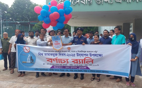 চুয়াডাঙ্গা ও আলমডাঙ্গায় নানা আয়োজনে বিশ্ব তামাকমুক্ত দিবস পালিত