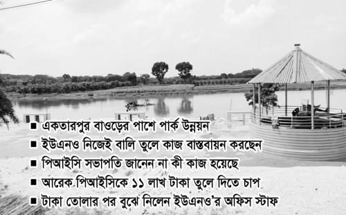 সরকারি বিল থেকে বালি তুলে পার্ক ভরাট