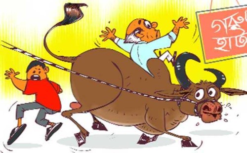 ৬৫ লাখ টাকাসহ গরু নিয়ে উধাও প্রতারক রহমতুল্লাহ