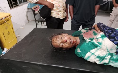 চুয়াডাঙ্গায় ইজিবাইকের ধাক্কায় অজ্ঞাত নারীর মৃত্যু