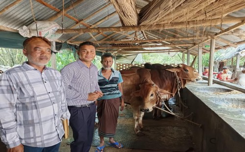 হরিণাকুণ্ডুতে কোরবানির জন্য প্রস্তুত ২৭ হাজার পশু