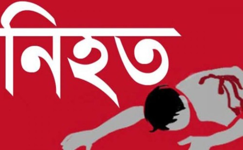 শৈলকূপায় সড়ক দুর্ঘটনায় গৃহবধূ নিহত