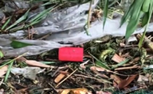 ‘শেখ হাসিনা ফিরবে’ লেখা চিরকুটের সাথে বোমা সদৃশ বস্তু উদ্ধার