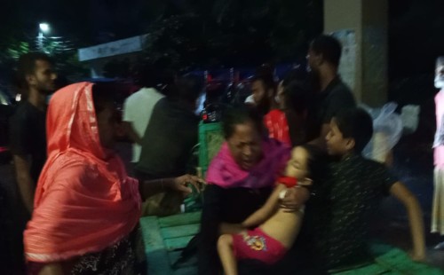 চুয়াডাঙ্গায় ‘সাপের কামড়ে’ শিশুর মৃত্যু