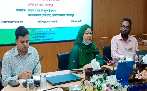 মেহেরপুরে গ্রাম আদালত নিয়ে সমন্বয় সভা