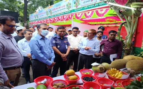 ঝিনাইদহে ফল মেলায় তিন দিনব্যাপী বাহারী আয়োজন