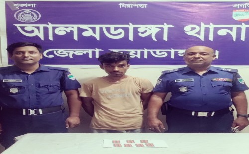 আলমডাঙ্গায় ৭০ পিস ট্যাপেন্ডল ট্যাবলেটসহ গ্রেপ্তার ১