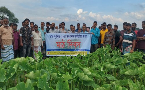 চুয়াডাঙ্গায় আঞ্চলিক রিভিউ ওয়ার্কশপ মাঠদিবস
