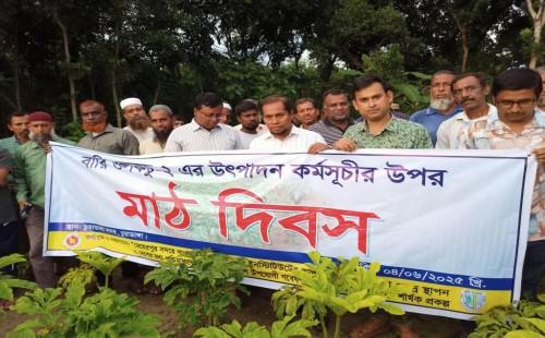 চুয়াডাঙ্গায় ওলকচু ও মুগের ওপর মাঠ দিবস
