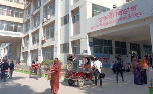 শৈলকূপায় ভাগ্নের সঙ্গে ধস্তাধস্তিতে মামার মৃত্যু