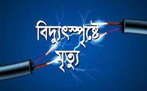 জীবননগর পুরন্দরপুরে বিদ্যুৎস্পৃষ্টে ওয়েল্ডিং মিস্ত্রির মৃত্যু