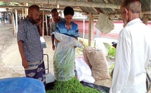 মেহেরপুরের বাজারে মরিচের দাম বেড়ে আকাশছোঁয়া