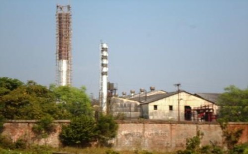 ৩২ বছরে সর্বোচ্চ লাভে কেরু অ্যান্ড কোম্পানি, আখ চাষে ফিরছে কৃষকের আস্থা