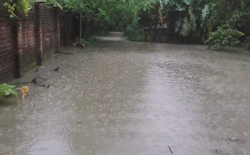 চুয়াডাঙ্গায় ৭৮ মিলিমিটার বৃষ্টিপাত রেকর্ড, ঝিনাইদহে শাক-সবজির দাম বৃদ্ধি