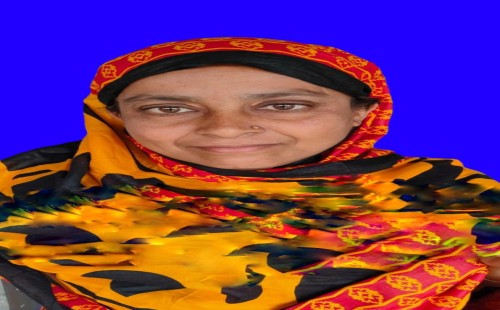 হাটবোয়ালিয়ায় বিএনপি নেতার স্ত্রীর মৃত্যু