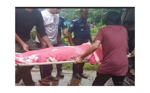 বড় ভাইয়ের হাতে ছোট ভাই খুন