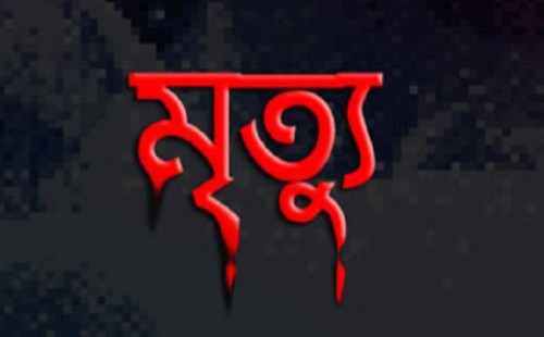 কুড়ুলগাছির ধান্যঘরায় পাট বইতে গিয়ে কৃষকের মৃত্যু