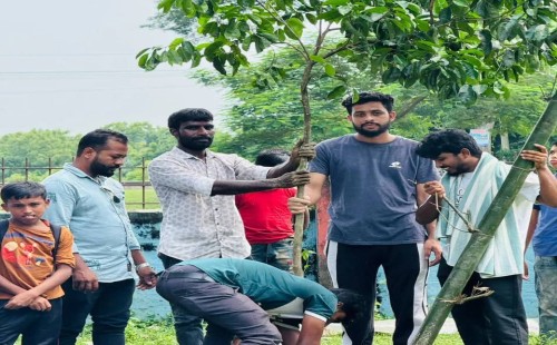 জুলাই গণঅভ্যুত্থানের বর্ষপূর্তিতে ছাত্রদলের বৃক্ষরোপণ