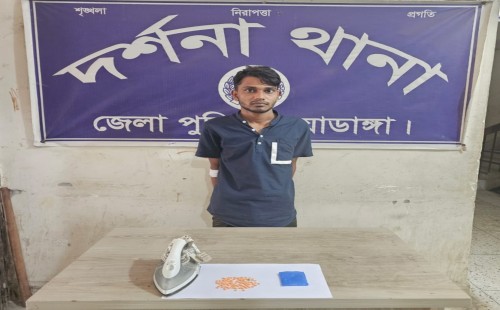 দর্শনায় ১০২ পিস ইয়াবা ট্যাবলেটসহ যুবক গ্রেপ্তার