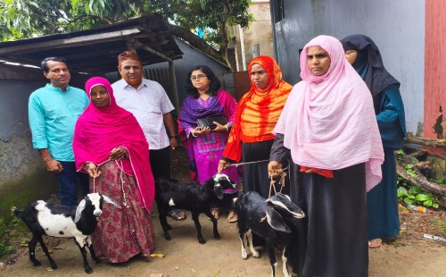 দামুড়হুদায় ছাগল ও সহায়ক সামগ্রী বিতরণ