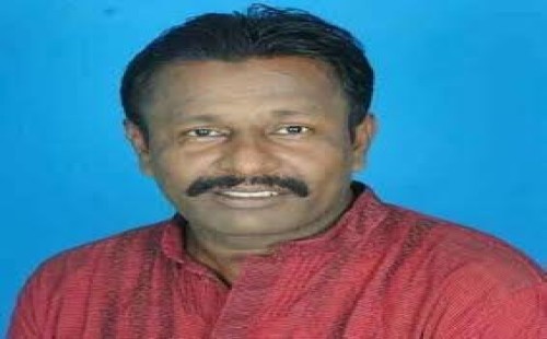 আটকের ৩ ঘণ্টা পর মুক্ত দর্শনা বিএনপি নেতা নাহারুল