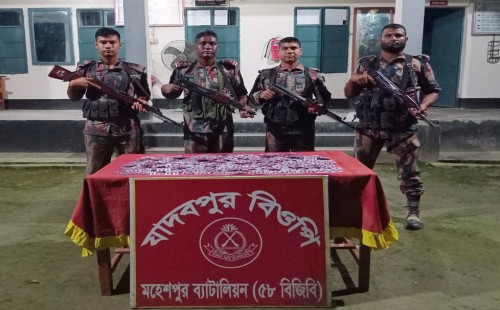 মহেশপুর সীমান্তে ৪ বাংলাদেশি নাগরিককে ফেরত দিল বিএসএফ