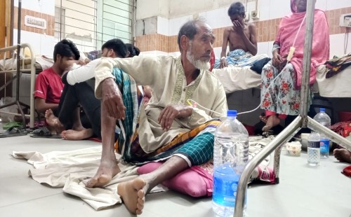 আলমডাঙ্গার হাড়োকান্দিতে সাপের কামড়ে বৃদ্ধ হাসপাতালে
