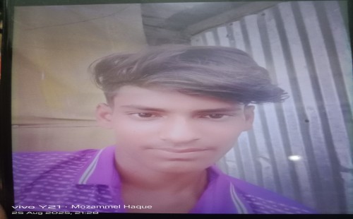 দামুড়হুদায় আলমসাধু নিয়ন্ত্রণ হারিয়ে শ্রমিক নিহত