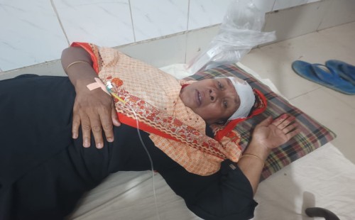 জীবননগরে জমি সংক্রান্ত বিরোধে নারীকে পিটিয়ে জখম