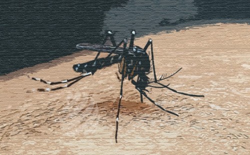 ডেঙ্গুতে আরো ৩ জনের মৃত্যু, হাসপাতালে ভর্তি ৫৮০