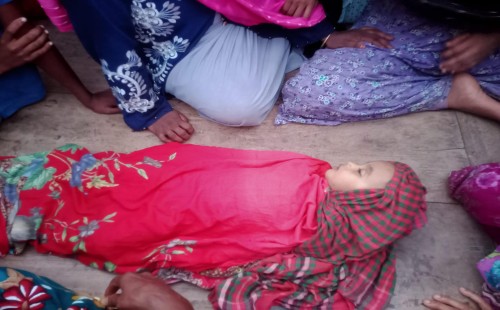 পানিতে ডুবে মৃত্যু বোনের