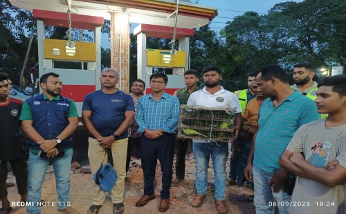 খাঁচাবন্দী ৭০টি হিরামন টিয়া উদ্ধার করে অবমুক্ত