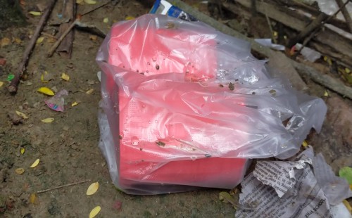 গাংনীতে দুটি বোমা সদৃশ বস্তু উদ্ধার