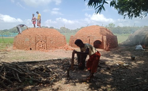 গাছ পুড়িয়ে তৈরি করা হচ্ছে কয়লা, ব্যবস্থার দাবি