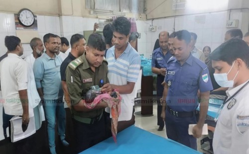 গাংনীতে বাঁশবাগানে পড়ে ছিলো সদ্যোজাত কন্যাশিশু