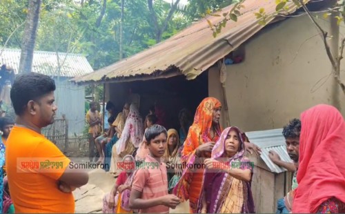 জীবননগর সীমান্তে বিএসএফের হাতে গরু  ব্যাপারী আটক