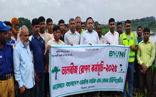 ভৈরব নদের পাড়ে ২ হাজার তালবীজ রোপণ