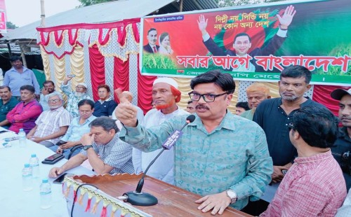 মেহেরপুরে ধানের শীষের পক্ষে গণসংযোগ