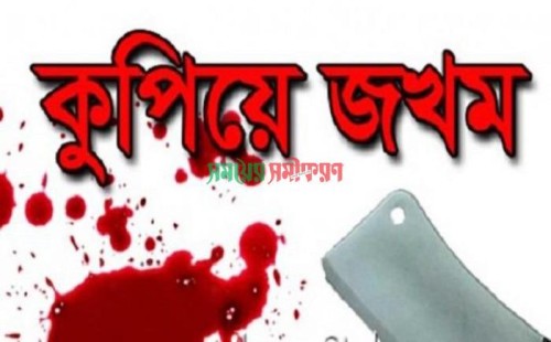 চুয়াডাঙ্গায় যুবলীগ কর্মীকে কুপিয়ে জখম