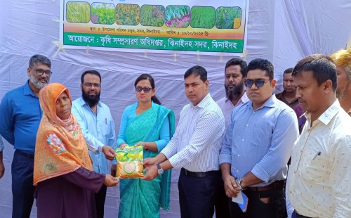 ঝিনাইদহের সাড়ে ৫ হাজার কৃষক পেলেন বীজ
