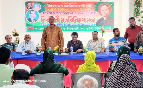 হাউলী ইউনিয়ন বিএনপির নির্বাচনী সভা