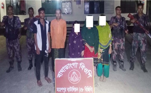 জীবননগর ও মহেশপুর সীমান্তে বিজিবির অভিযান