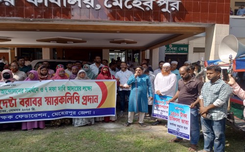 মেহেরপুরে শিক্ষা সংস্কার ও শিক্ষকদের সমস্যা সমাধানে বিক্ষোভ