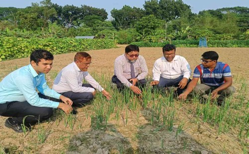 জীবননগর সন্তোষপুরে গ্রীষ্মকালীন পেঁয়াজের খেত পরিদর্শনে কৃষি সম্প্রসারণ অধিদপ্তরের অতিরিক্ত পরিচালক ড. জামাল উদ্দীন
