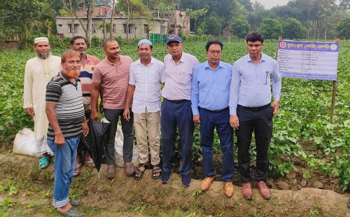 দর্শনায় তুলা চাষীদের নিয়ে মতবিনিময়